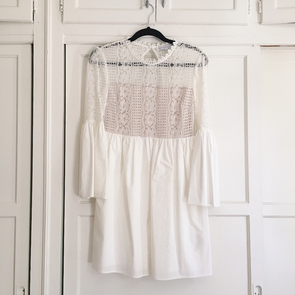 Endless Rose Lace Mini Dress